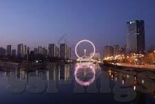 北单足球比分直播-北单足球比分直播，球迷的实时盛宴与数据狂欢