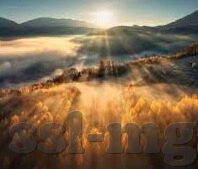 足球比分复式-足球比分复式，解锁足球博彩的多元策略与智慧博弈