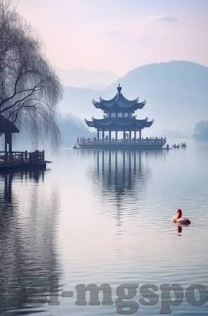足球主 1比分-足球主1比分，一场比赛背后的战术博弈与心理暗战